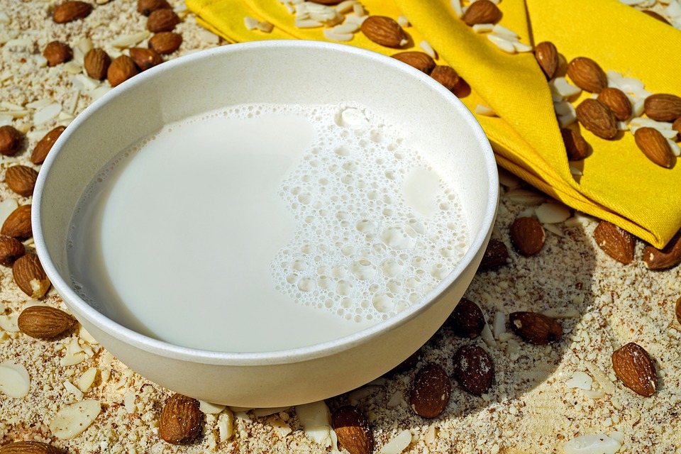 Čím nahradit mléčnou bílkovinu?